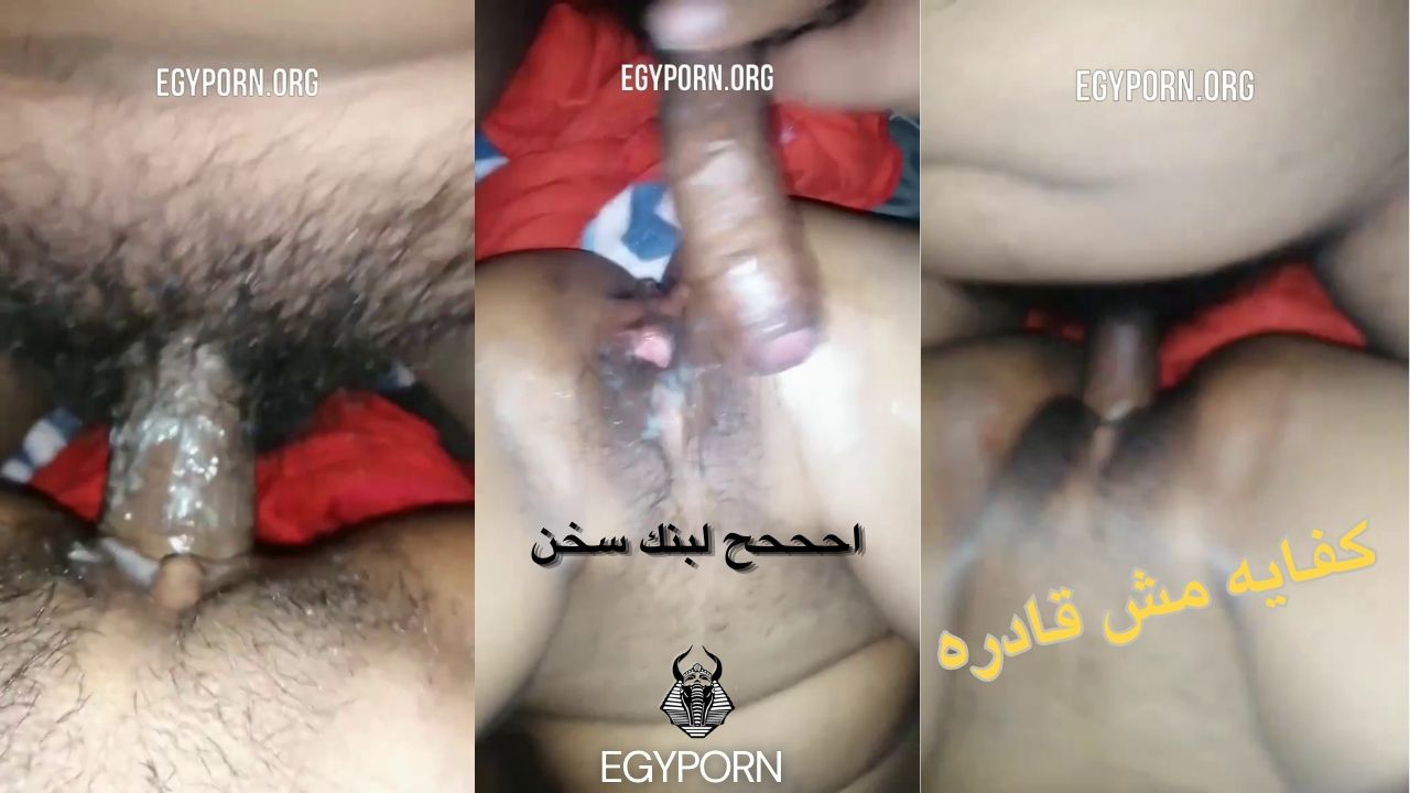 سكس مصري نازل تخبيط في كسها نيك نار ووجع البنت فرهدت منه – سكس عربي حصري