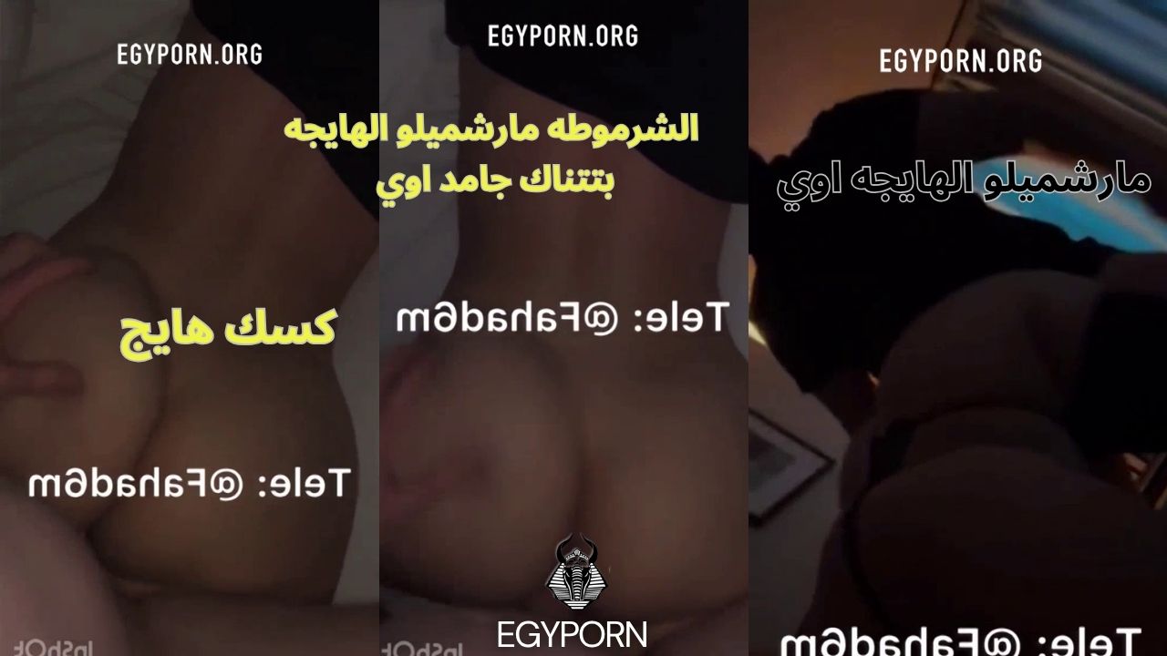 سكس نودز مصري هاجر مارشيميلو بنوته هيجانه عاوزه زبر ف كسها