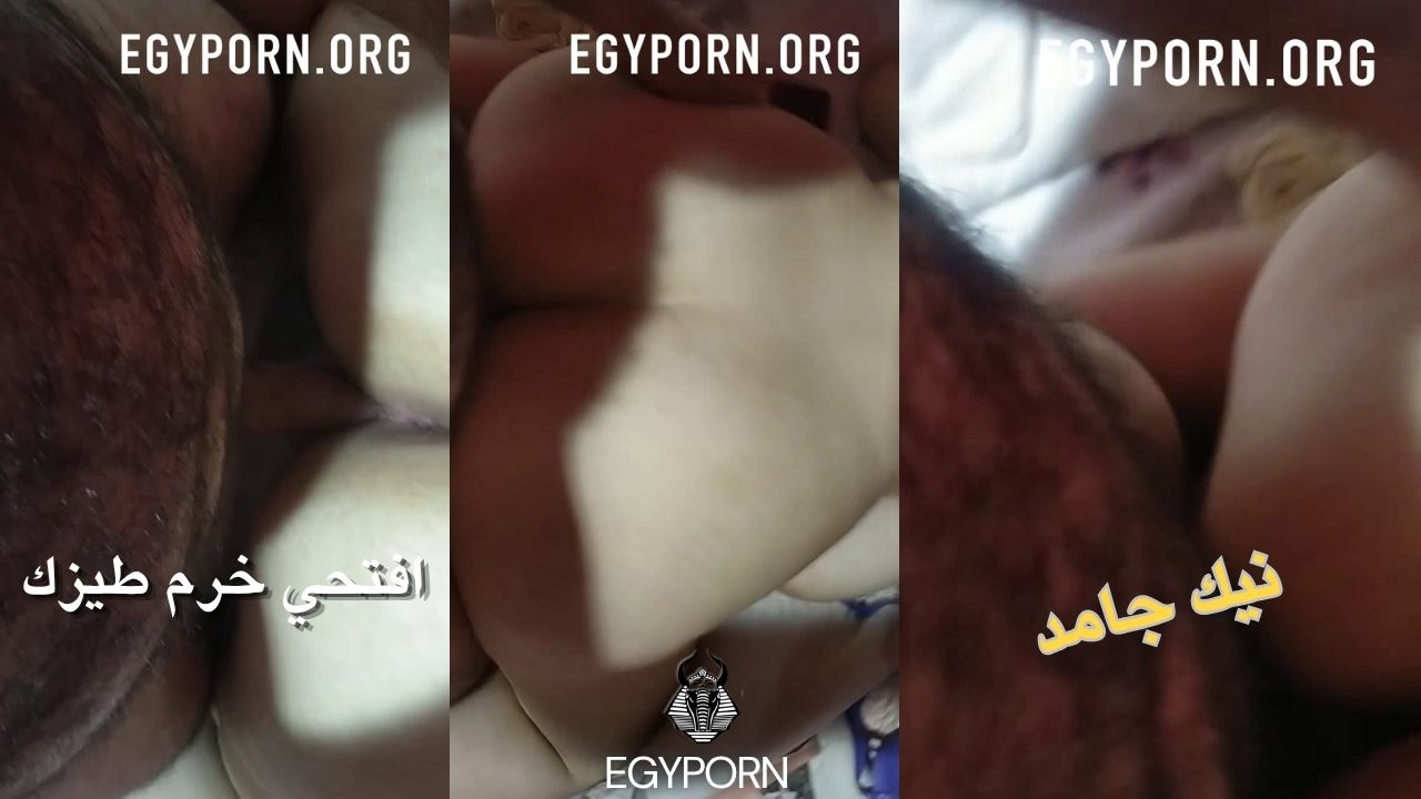 سكس  مصري جامد 2026 ينيكها تقوله انت وسخ