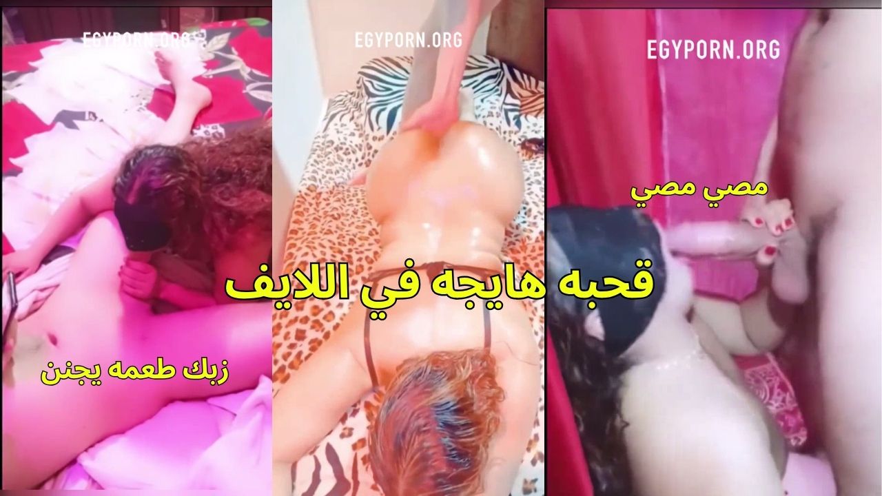سكس مصري حفله تانجو سكس لايف نيك كامل2026