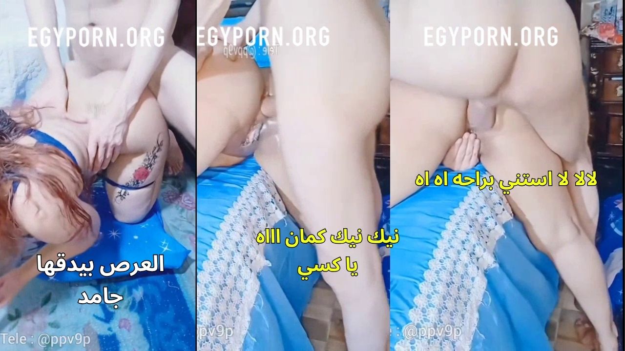 سكس مصري ينيك ملفايه بيضا في لايف تانجو – سكس ايجي بورن حصري 2026