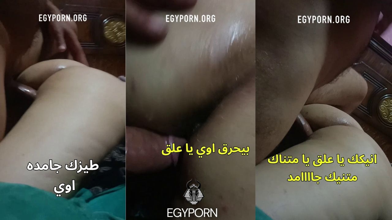 سكس تركب الزب بهيجان وتشتمه بأوسخ الالفاظ انيكك ياعلق يامتناك