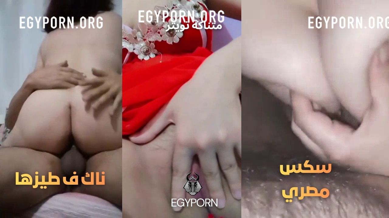 سكس بلدي نار هيجان السنين – سكس مصري