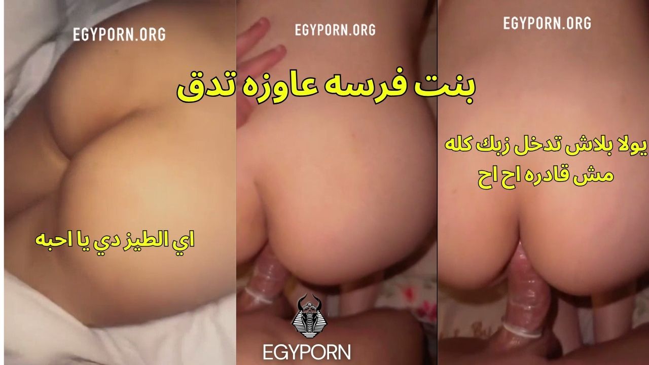 سكس مصري حصري لا يولا بلاش خرم طيزي وهو يحشر زبه