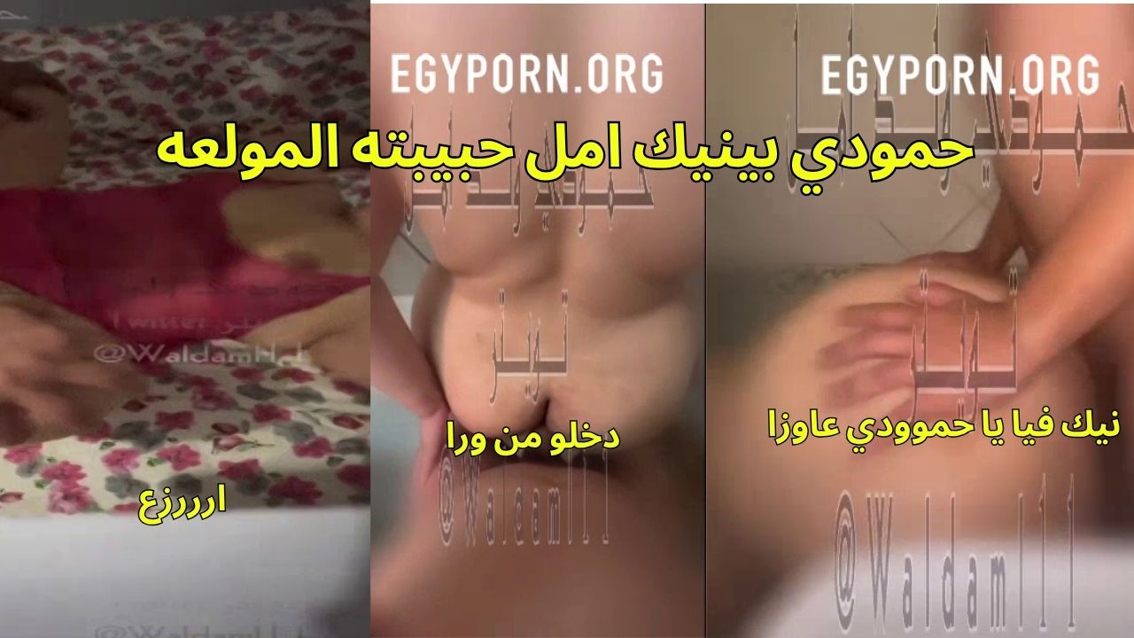 سكس نيك مصري حمودي بينيك امال وبيكيفها